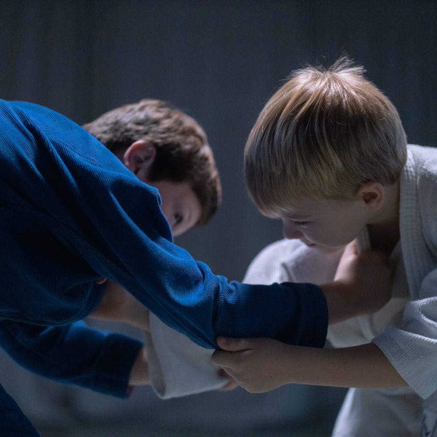 pexels-cottonbro-studio-7988827